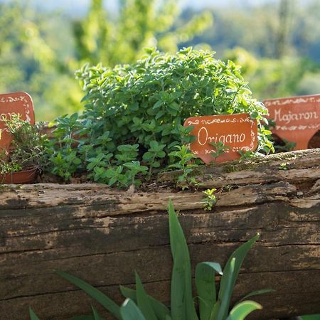 Holiday Farm Grofija Ivancna Gorica Exterior photo